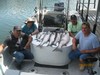 (08/02/2017) - Nice Striped Bass